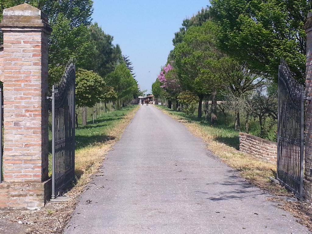 Villa Agriturismo L'Angelina Alfonsine Exterior foto