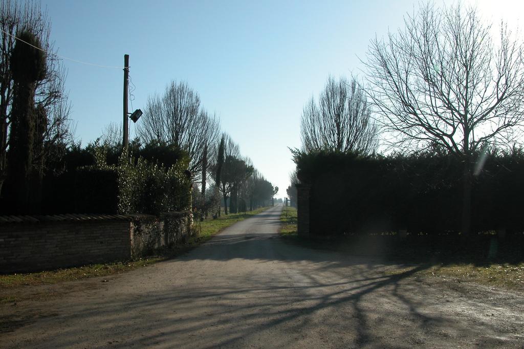 Villa Agriturismo L'Angelina Alfonsine Exterior foto
