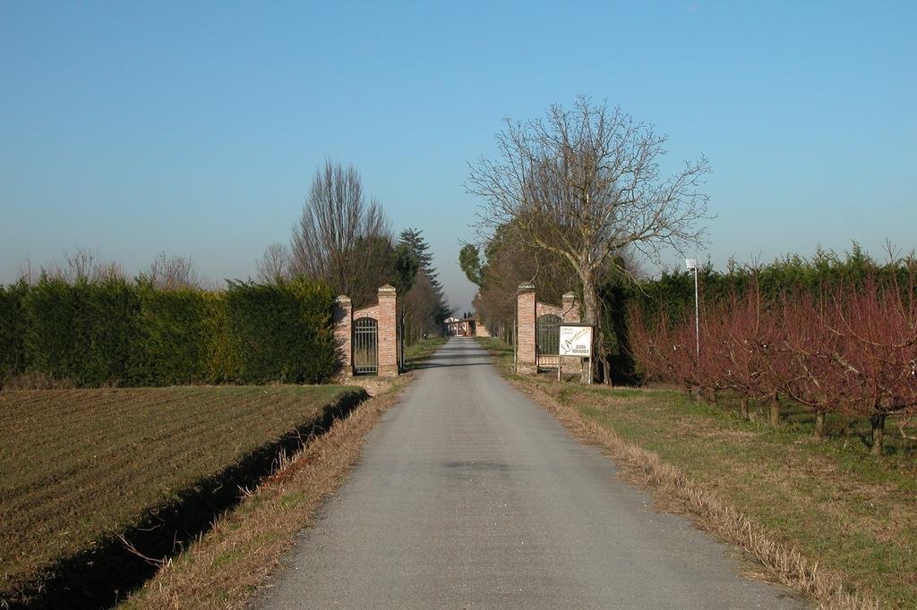Villa Agriturismo L'Angelina Alfonsine Exterior foto